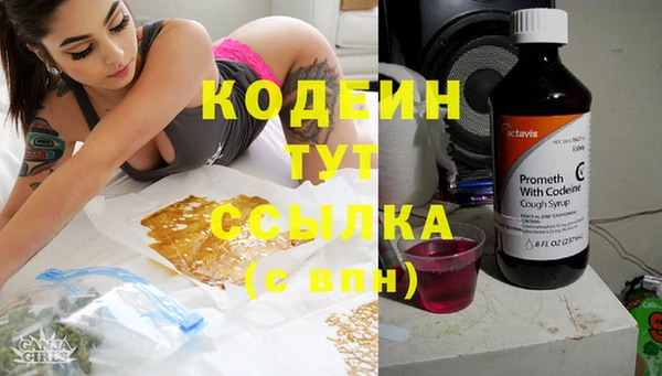 дмт Козельск