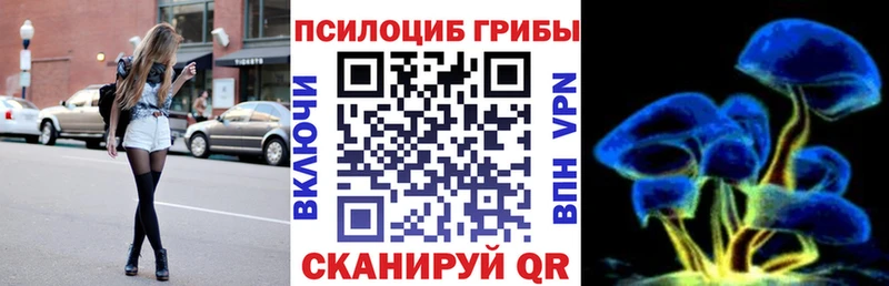Купить  Давлеканово  Галлюциногенные грибы MAGIC MUSHROOMS 